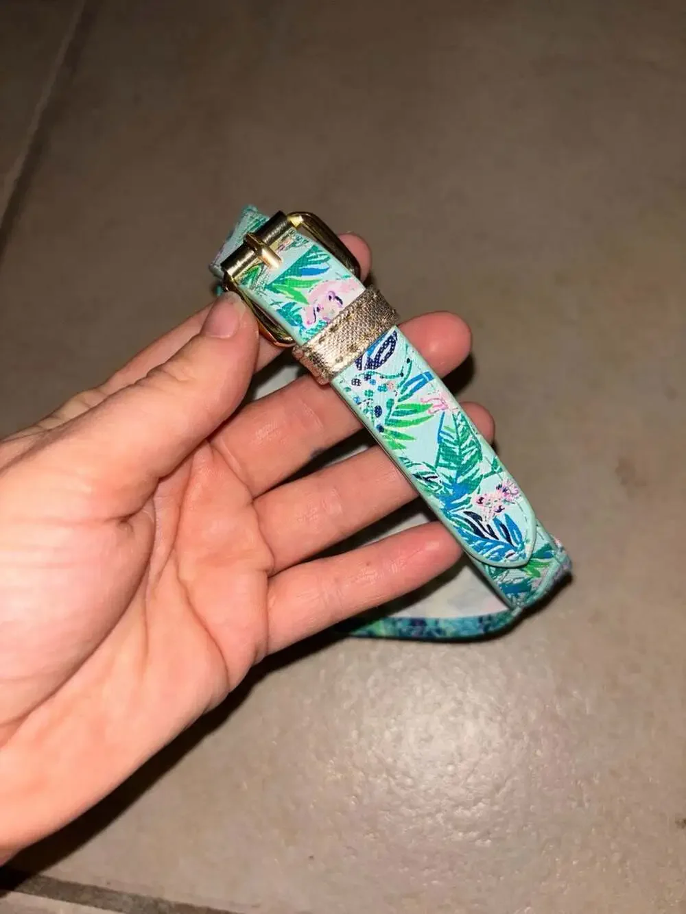 Lilly Pulitzer Splendor in the Sand Dog Collar with Bandana, Size S/M